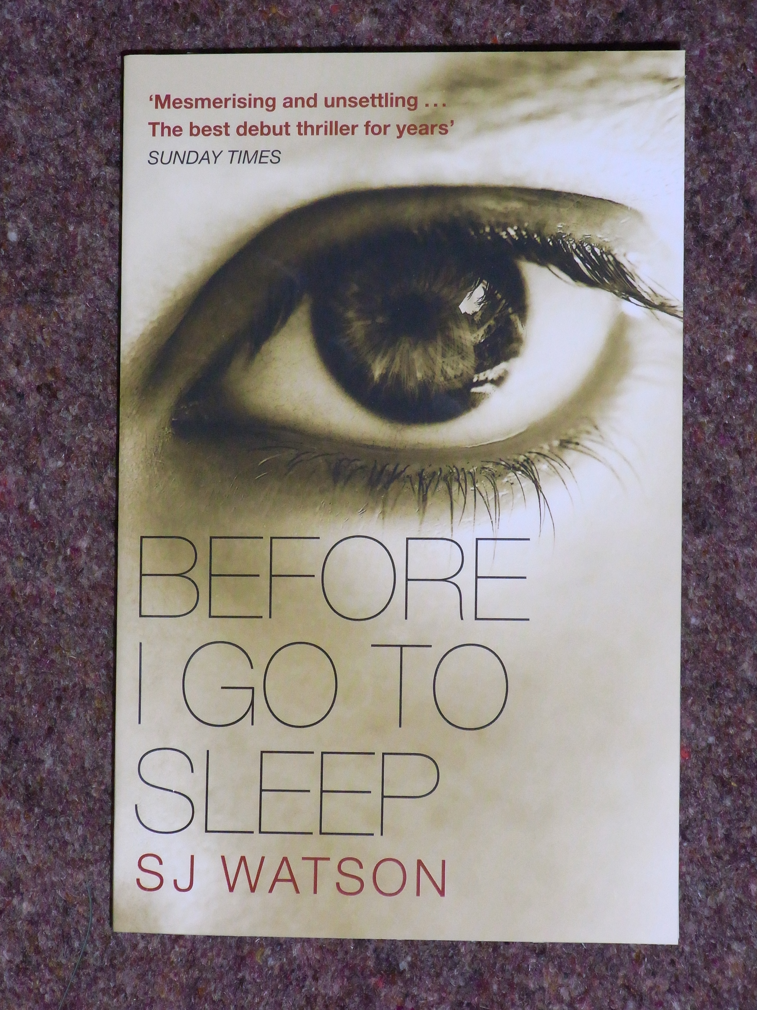 Before I Go To Sleep by SJ Watson