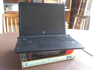 tips for remote conferencing