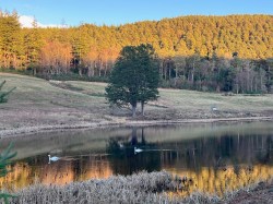The Writing Clubroom